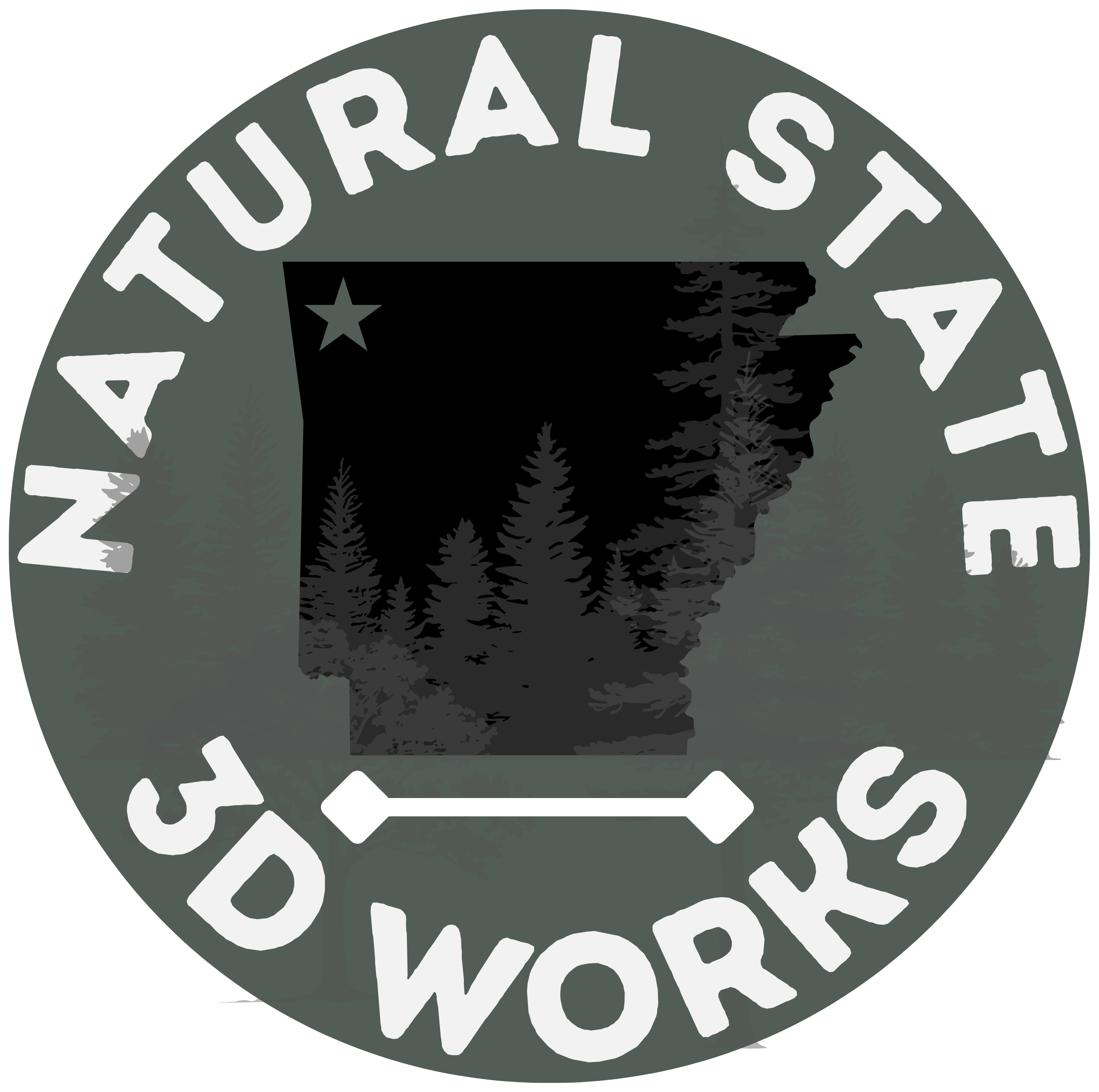 NS3DW